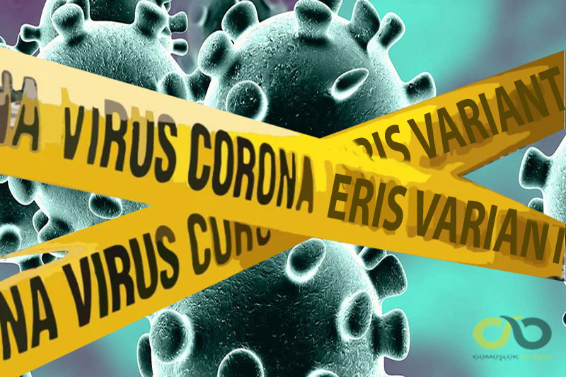 Coronavirus Eris varyantı Türkiye'de