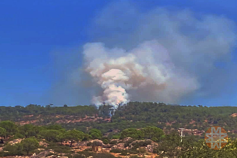 Kavaklıdere'de orman yangını, 31 Ağustos 2023 - 48 Haber Ajansı