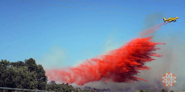 Milas - Bodrum havalimanı yolu orman yangını