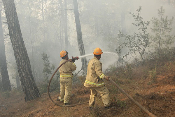 Orman yangınıyla mücadele, arşiv - 48 Haber Ajansı