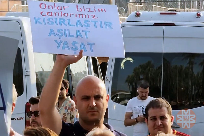 Bodrum'da, "Öldürme yaşat" eylemi 4